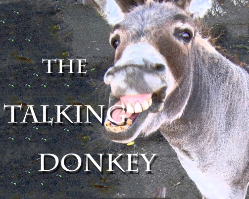 talking donkey